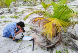 Tropical Crop Cultivation