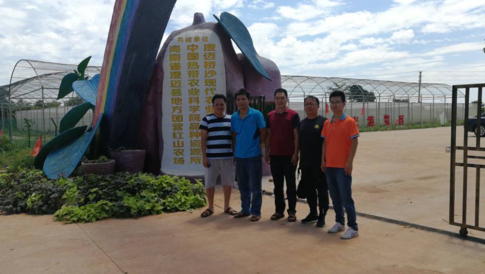 参观甘薯基地.jpg