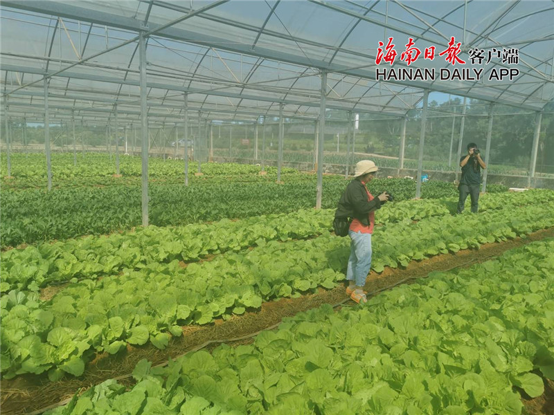 QQ图片20200825215222.jpg