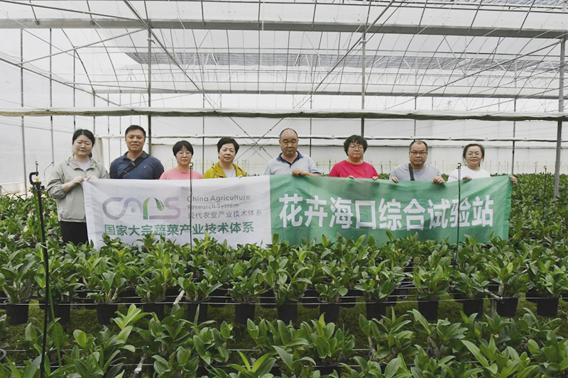 到云南种植基地调研.jpg