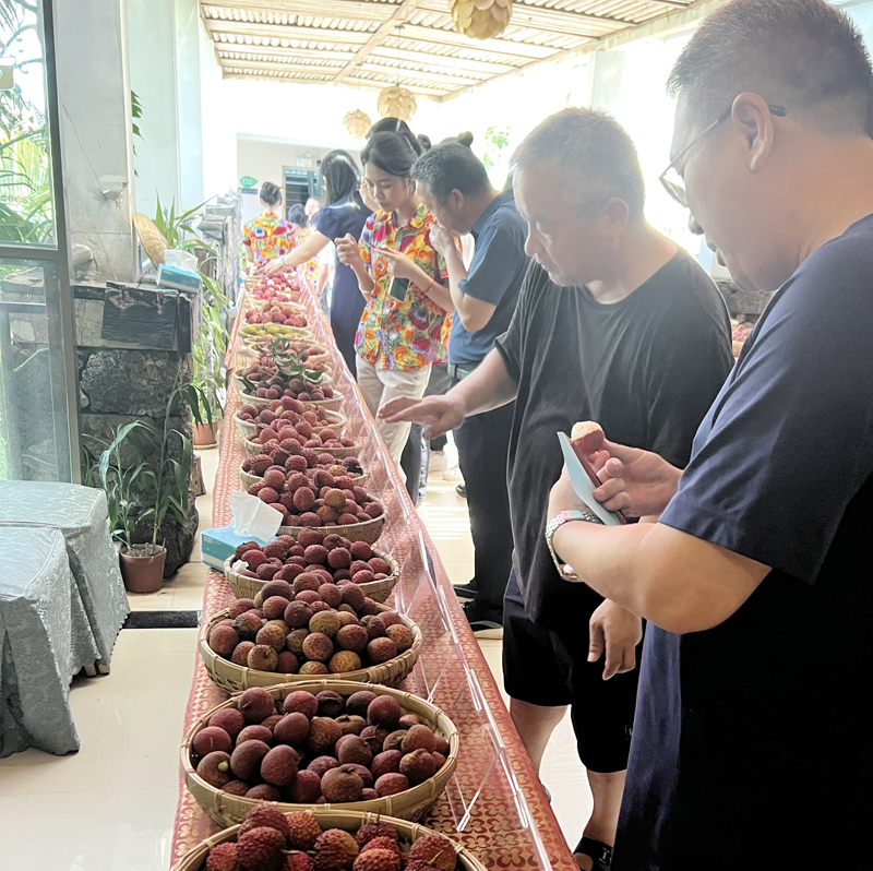 品鉴会现场.jpg