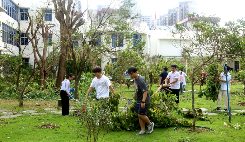 清理展示园9jpg---.jpg