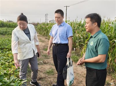 738ef322a7250acd0fae3bc0075d3bbf