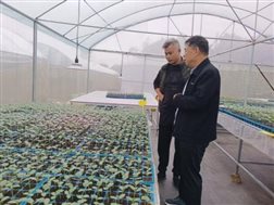 91e1e0e7355a4031dc7d6048be538a75