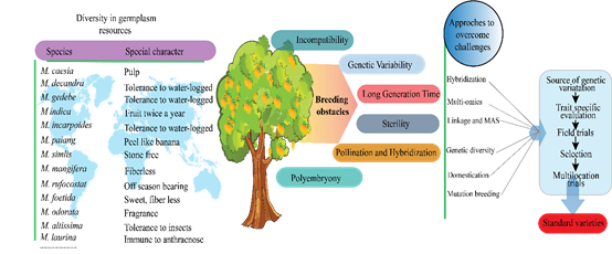 A tree with different colored text

AI-generated content may be incorrect.