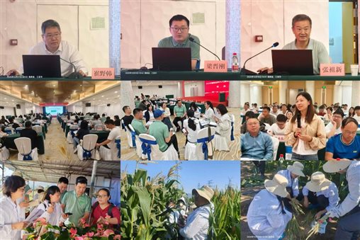 80dce8fca99654c5d40e0ff2d7e53cb0