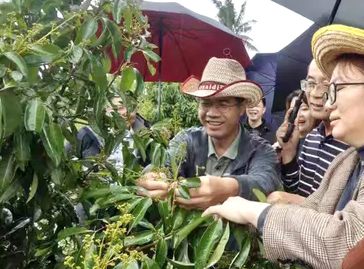 高研究员手把手教农技员如何进行人工疏花1.jpg 高研究员手把手教农技员如何进行人工疏花1.jpg