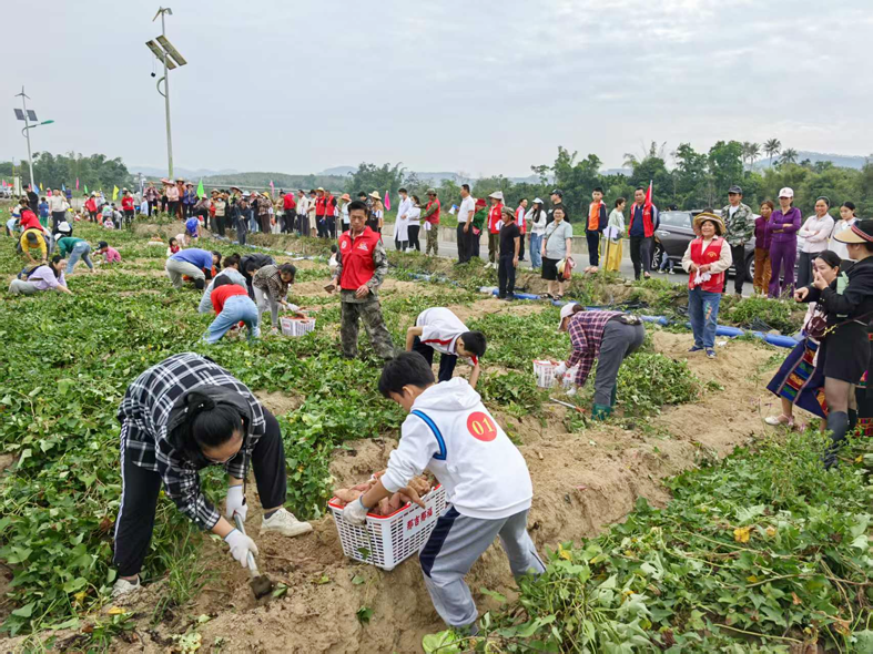 图片1-1.png 图片1-1.png