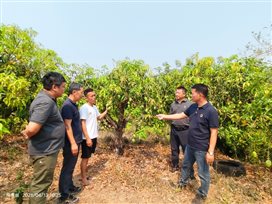 714e434a277d2dca0f3256b6400bbeb9