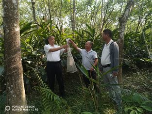 3dea609d0ab3d6b38b9cfc112ec94afd